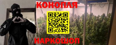 ешки Будённовск