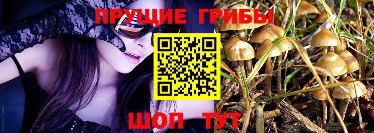 Соликамск  Псилоцибиновые грибы Cubensis  Вход с VPN  где купить наркоту  Псилоцибиновые грибы Psilocybe 